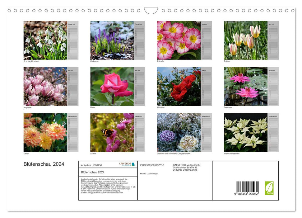 Blütenschau 2024 (CALVENDO Wandkalender 2024)
