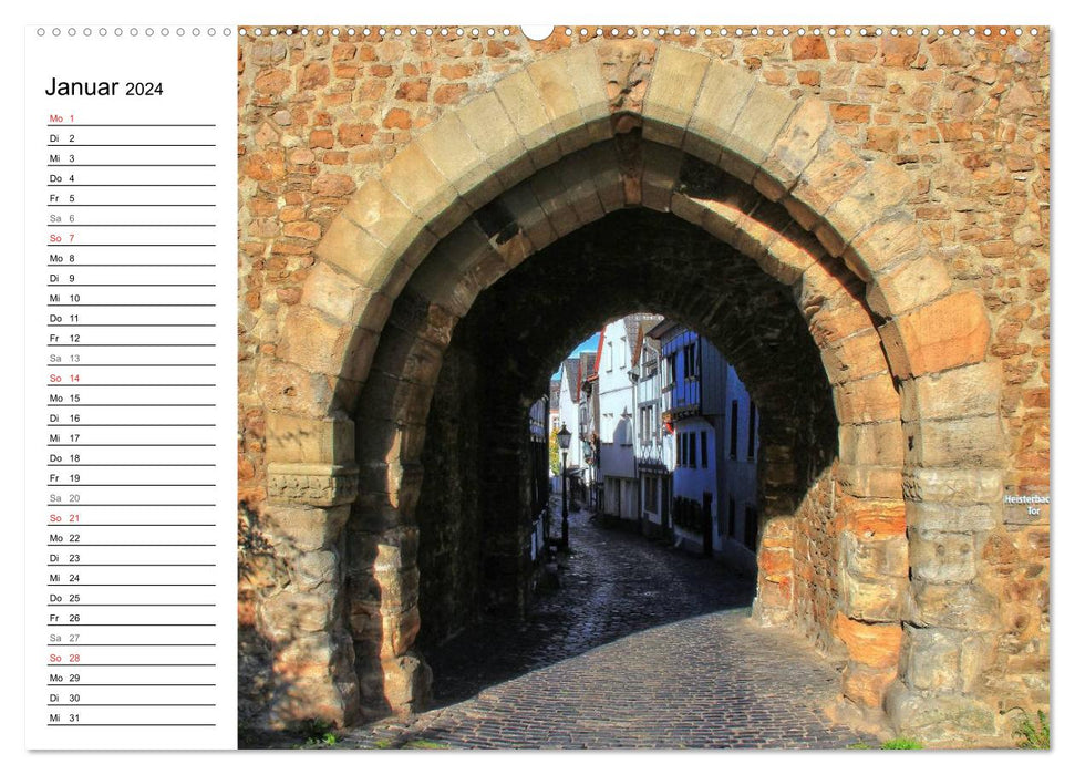 Eye-catchers - gates, doors and windows (CALVENDO Premium Wall Calendar 2024) 