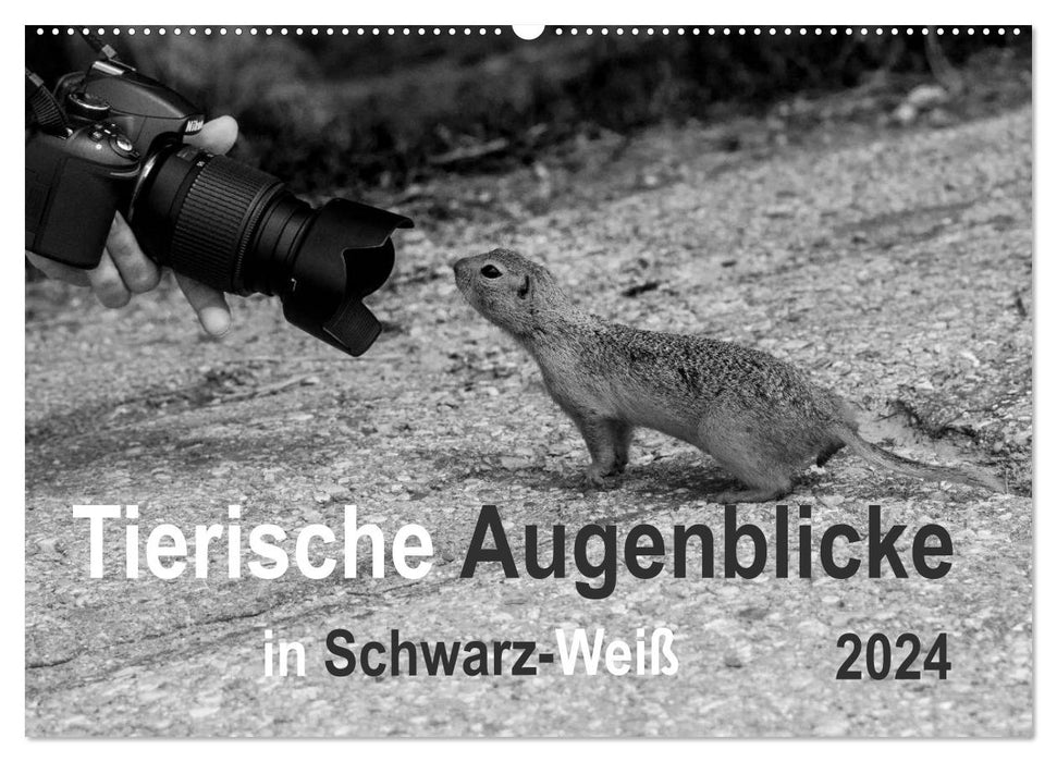 Tierische Augenblicke in Schwarz-Weiß (CALVENDO Wandkalender 2024)