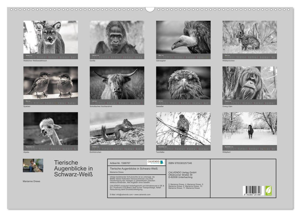 Tierische Augenblicke in Schwarz-Weiß (CALVENDO Wandkalender 2024)