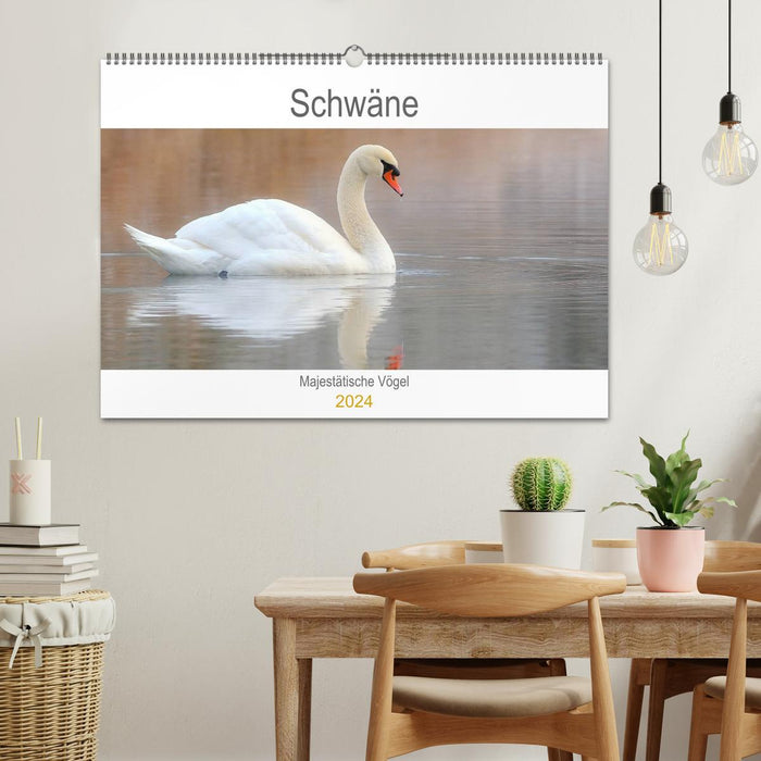 Swans Majestic Birds (CALVENDO Wall Calendar 2024) 