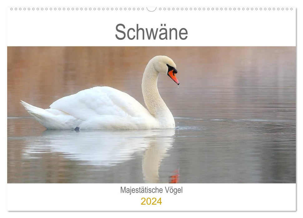 Swans Majestic Birds (CALVENDO Wall Calendar 2024) 