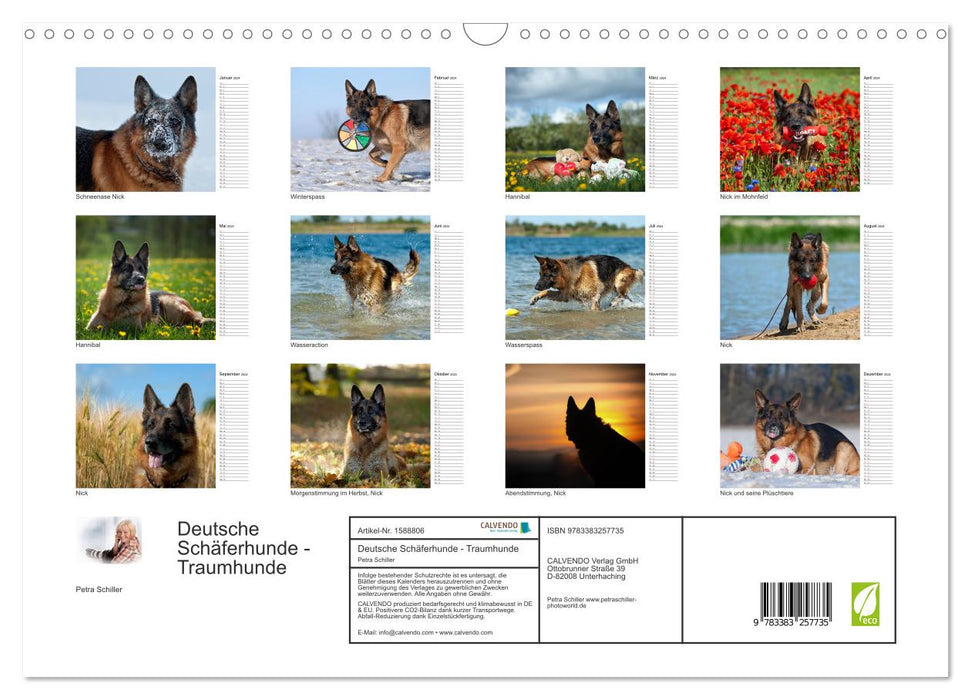 German Shepherd Dogs - Dream Dogs (CALVENDO Wall Calendar 2024) 