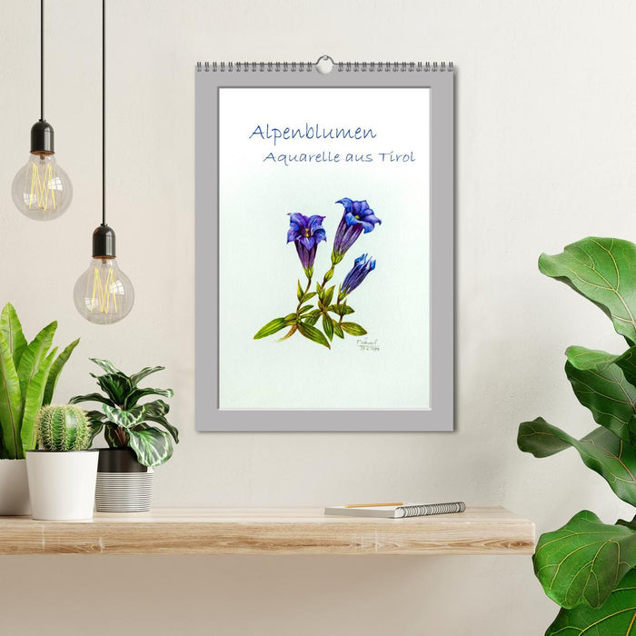 Aquarelles de fleurs alpines du Tyrol (calendrier mural CALVENDO 2024) 