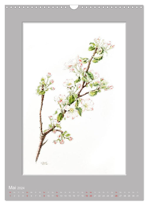Alpine flowers watercolors from Tyrol (CALVENDO wall calendar 2024) 