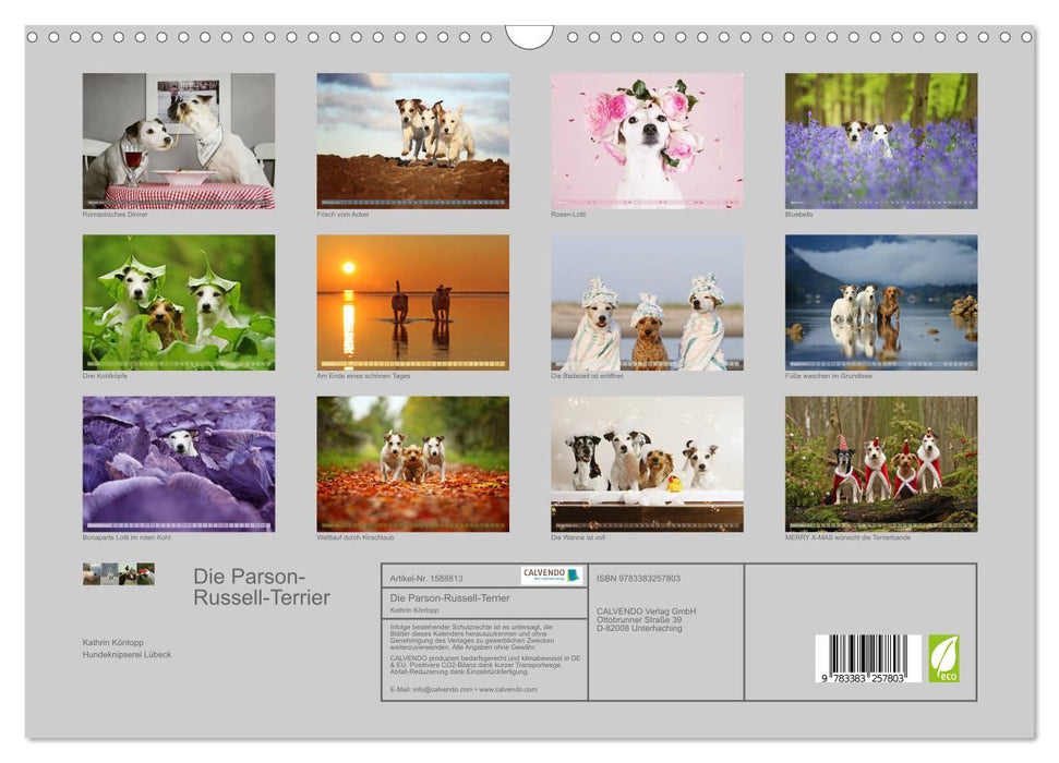Die Parson-Russell-Terrier ...mit neuen Abenteuern aus der Hundeknipserei (CALVENDO Wandkalender 2024)