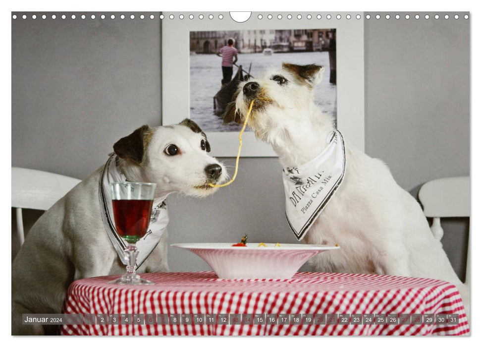 The Parson Russell Terriers ...with new adventures from dog clipping (CALVENDO wall calendar 2024) 