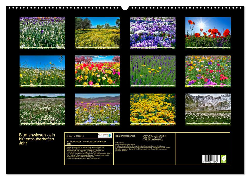 Flower meadows – a magical year with flowers (CALVENDO wall calendar 2024) 