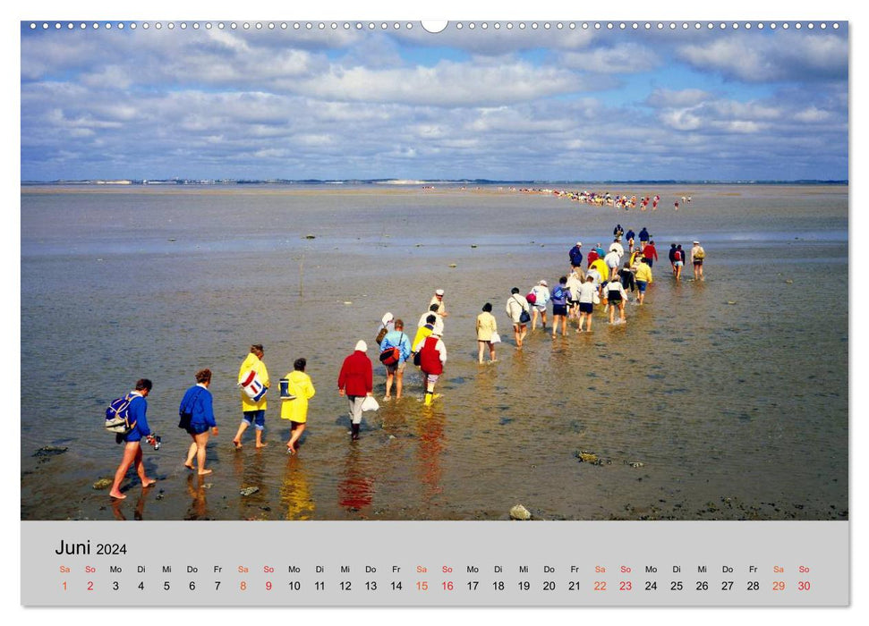 Schleswig-Holstein, holiday destination between the North and Baltic Seas (CALVENDO Premium Wall Calendar 2024) 