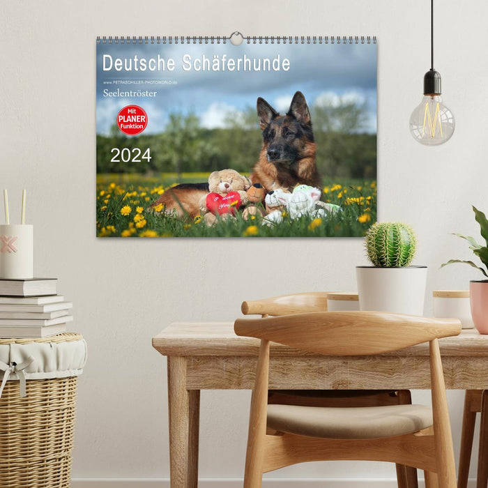 German Shepherd Dogs Comforter (CALVENDO Wall Calendar 2024) 