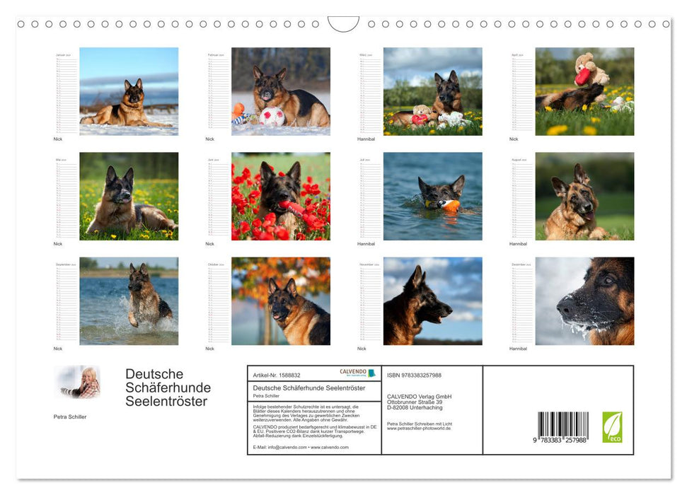 German Shepherd Dogs Comforter (CALVENDO Wall Calendar 2024) 