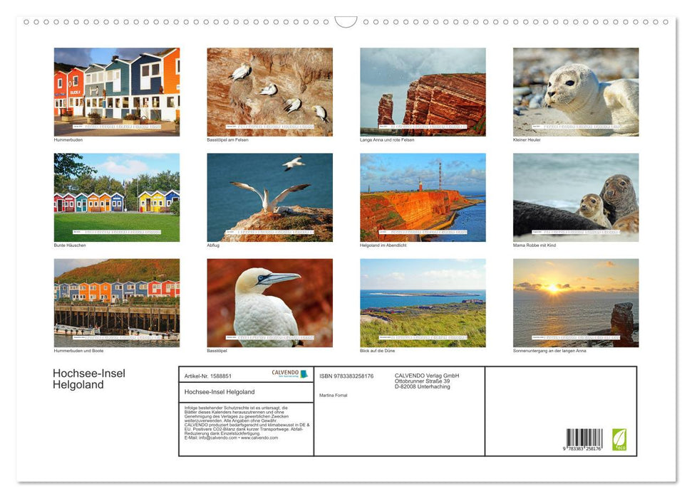 Deep sea island of Heligoland (CALVENDO wall calendar 2024) 