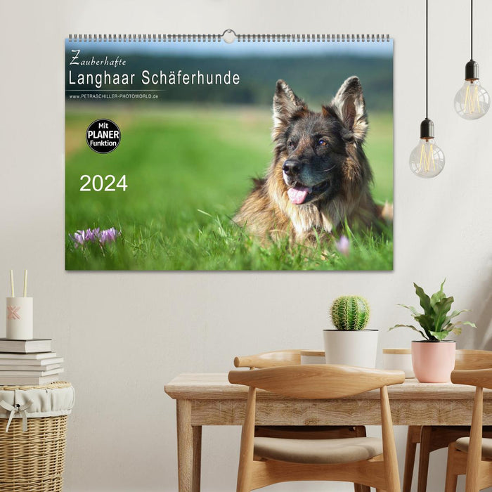 Magical long-haired German Shepherds (CALVENDO wall calendar 2024) 