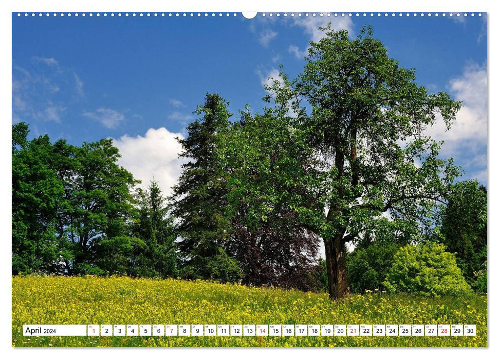 My Werdenfelser Land (CALVENDO wall calendar 2024) 