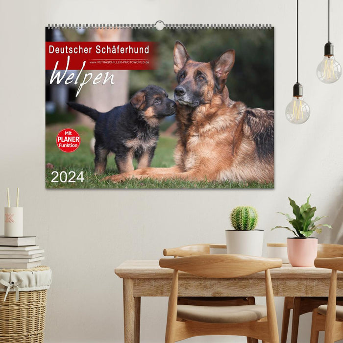 Deutscher Schäferhund - Welpen (CALVENDO Wandkalender 2024)