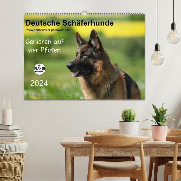 German Shepherd Dogs - Seniors on Four Paws (CALVENDO Wall Calendar 2024) 