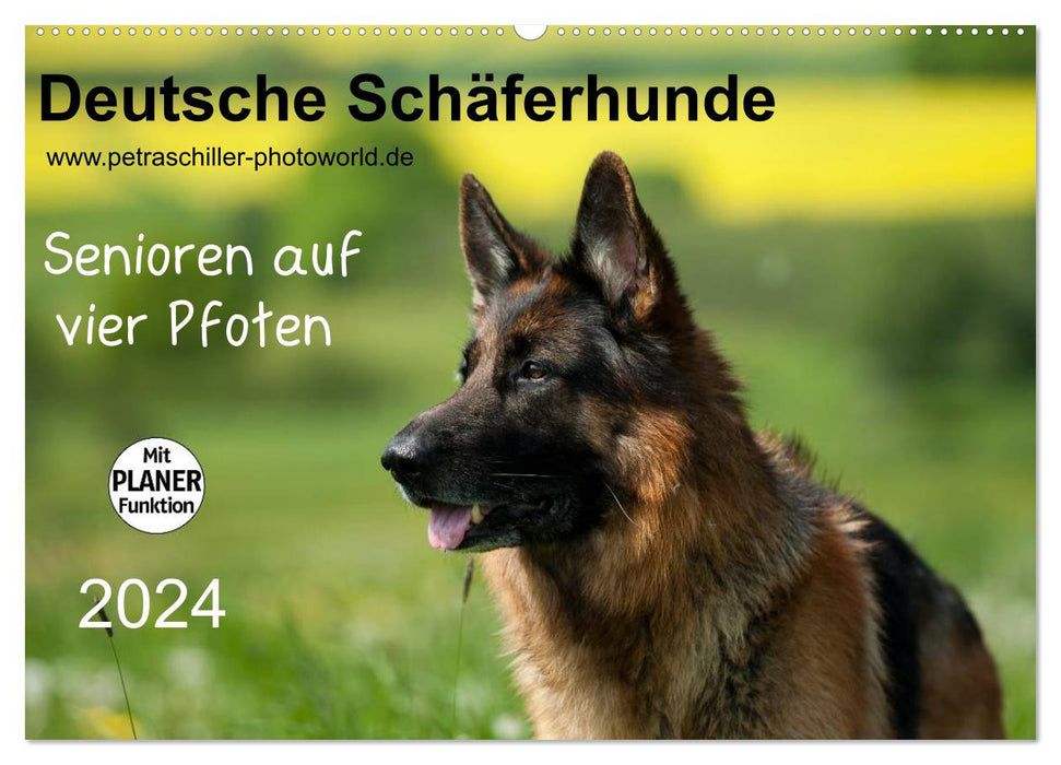 German Shepherd Dogs - Seniors on Four Paws (CALVENDO Wall Calendar 2024) 