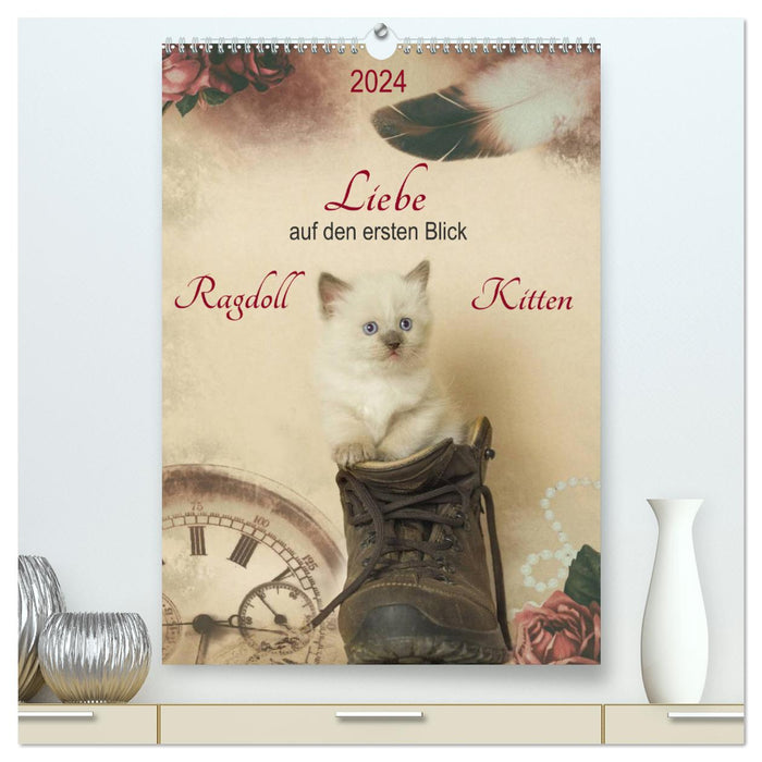 Liebe auf den ersten Blick . Ragdoll Kitten (CALVENDO Premium Wandkalender 2024)