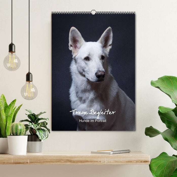 Loyal companions, dogs in portrait. (CALVENDO wall calendar 2024) 