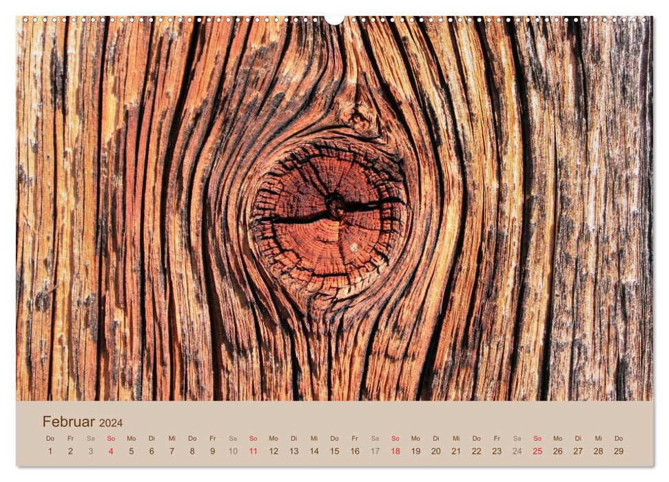 Couleurs du bois (Calendrier mural CALVENDO Premium 2024) 