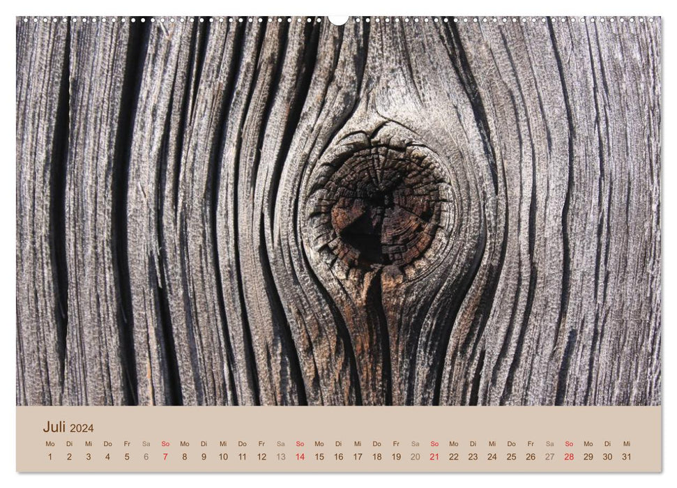 Farben des Holzes (CALVENDO Premium Wandkalender 2024)