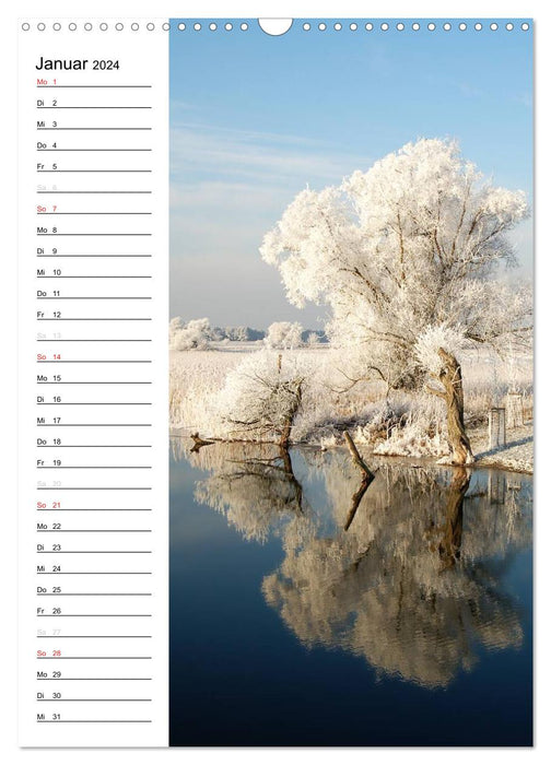 State of Brandenburg in the changing seasons (CALVENDO wall calendar 2024) 