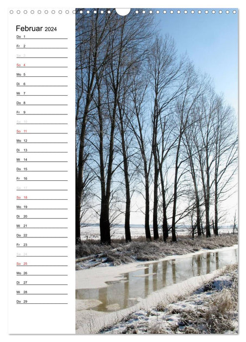 State of Brandenburg in the changing seasons (CALVENDO wall calendar 2024) 