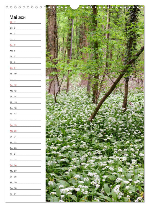 Land de Brandebourg au fil des saisons (calendrier mural CALVENDO 2024) 