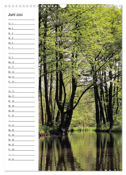Land Brandenburg im Wechsel der Jahreszeiten (CALVENDO Wandkalender 2024)
