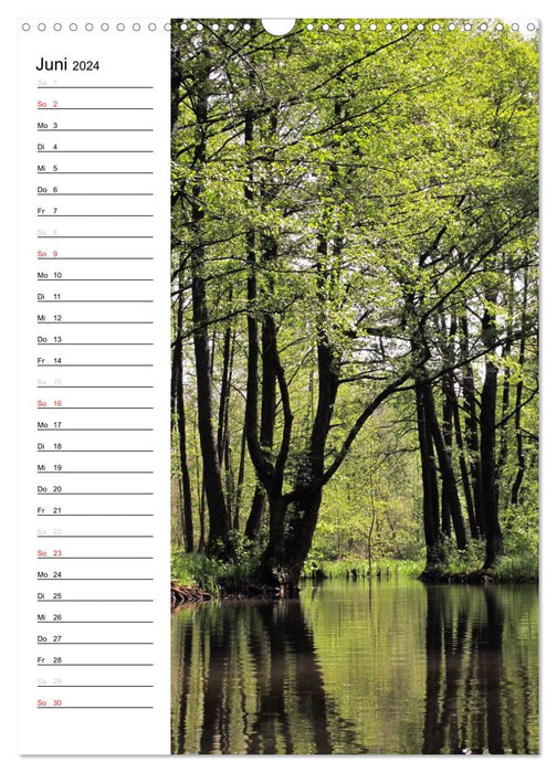 State of Brandenburg in the changing seasons (CALVENDO wall calendar 2024) 