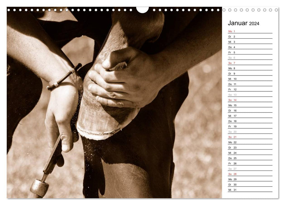 Hufschmied Traditionshandwerk (CALVENDO Wandkalender 2024)