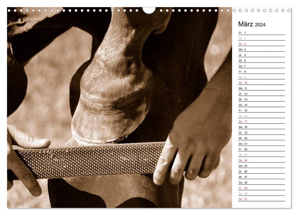 Farrier traditional crafts (CALVENDO wall calendar 2024) 