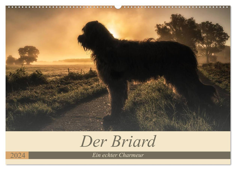 The Briard 2024 - A real charmer (CALVENDO wall calendar 2024) 