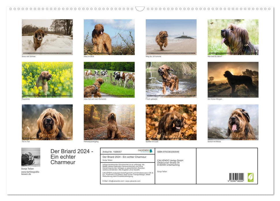 Der Briard 2024 - Ein echter Charmeur (CALVENDO Wandkalender 2024)