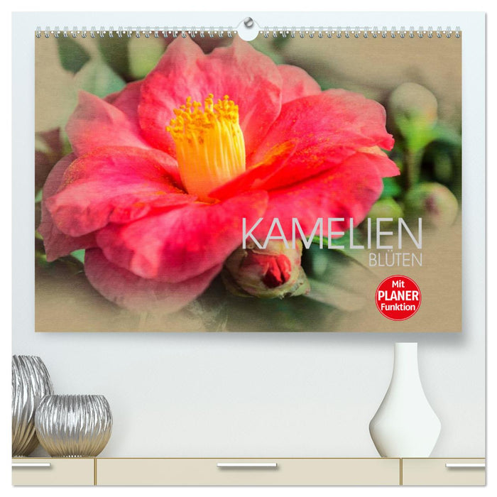 Kamelien Blüten (CALVENDO Premium Wandkalender 2024)