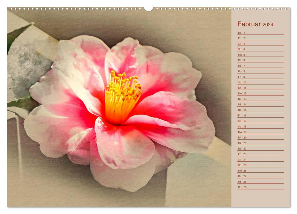 Fleurs de camélia (Calendrier mural CALVENDO Premium 2024) 