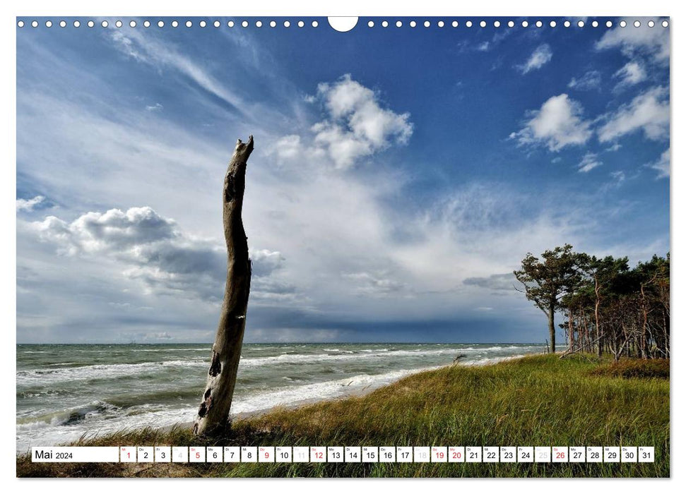 Naturschauspiel Darßer Weststrand (CALVENDO Wandkalender 2024)