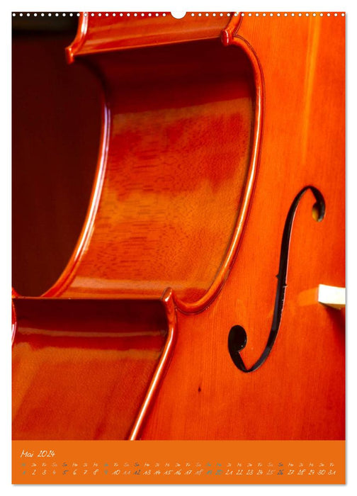 Geliebtes Cello (CALVENDO Premium Wandkalender 2024)