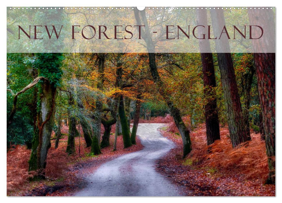 New Forest - England (CALVENDO Wandkalender 2024)