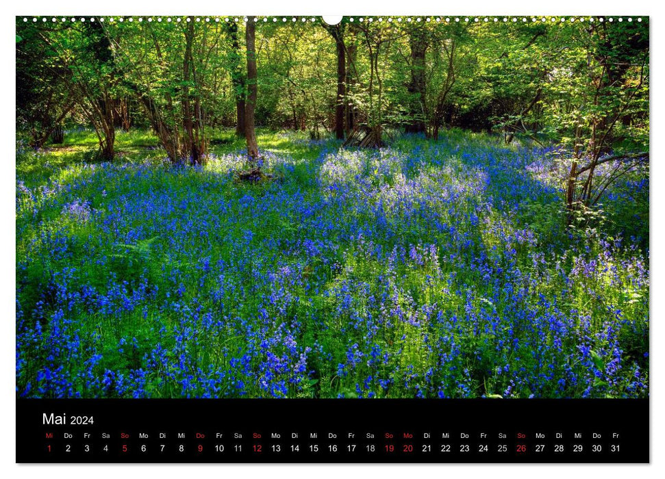 New Forest - England (CALVENDO wall calendar 2024) 