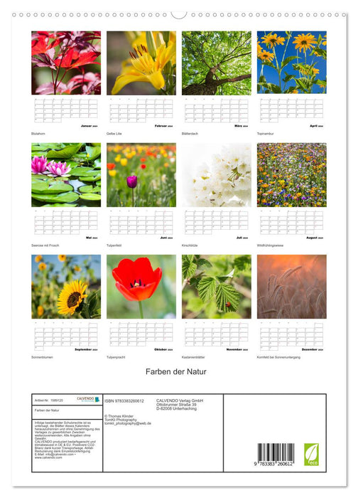 Farben der Natur (CALVENDO Premium Wandkalender 2024)