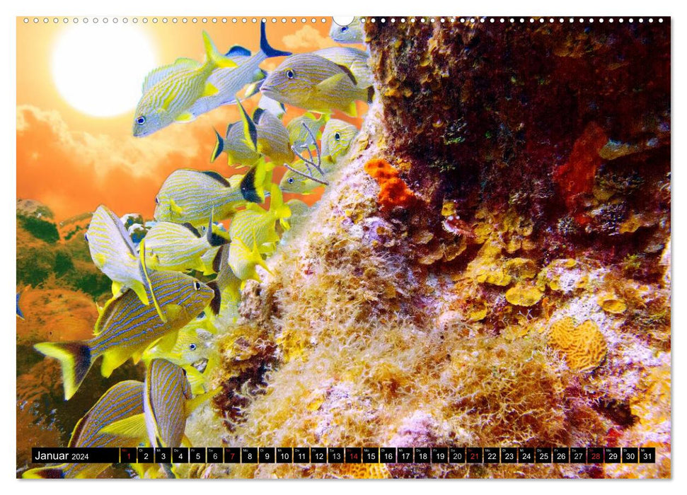 Surreal underwater world (CALVENDO Premium Wall Calendar 2024) 