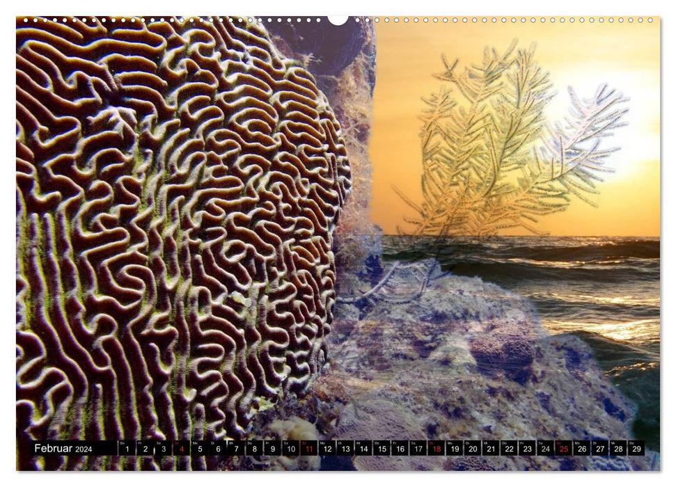 Surreal underwater world (CALVENDO Premium Wall Calendar 2024) 