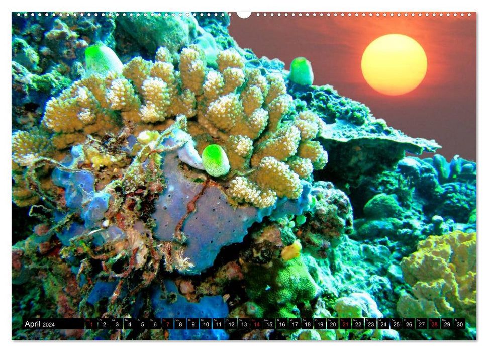 Surreale Unterwasserwelt (CALVENDO Premium Wandkalender 2024)