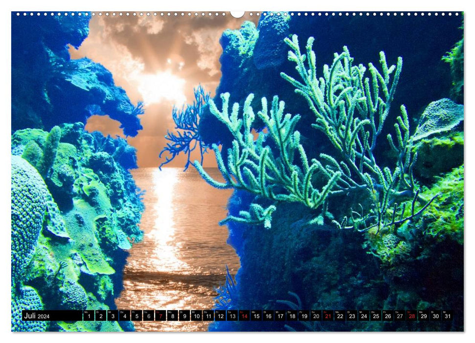 Surreale Unterwasserwelt (CALVENDO Premium Wandkalender 2024)