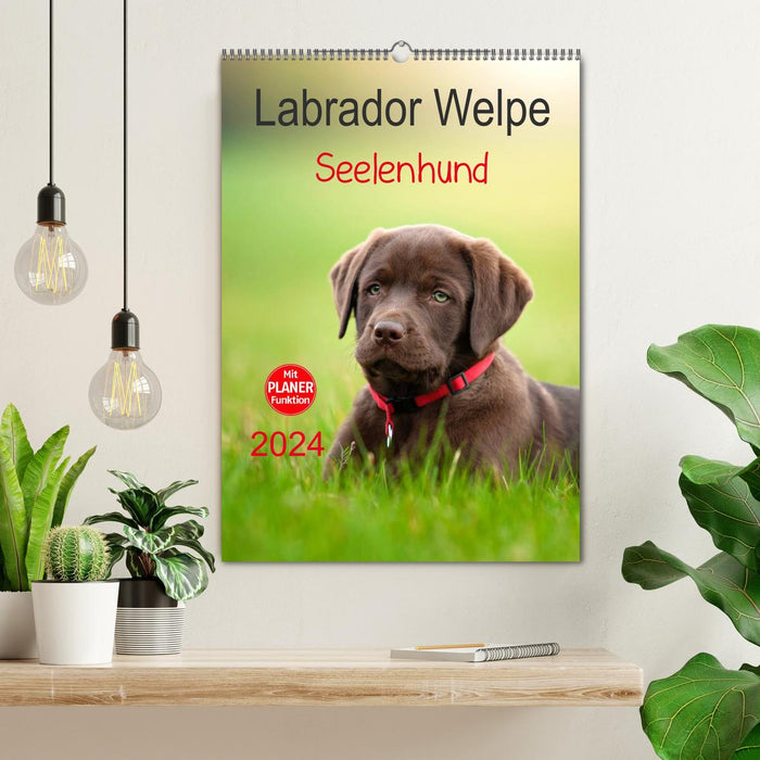 Labrador Welpe - Seelenhund (CALVENDO Wandkalender 2024)