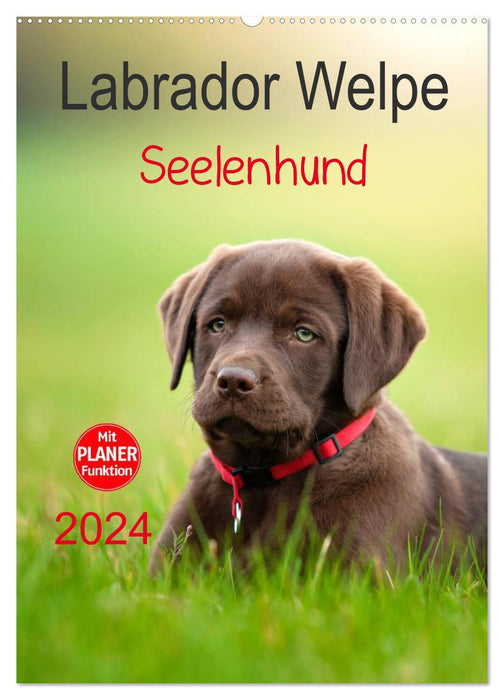 Labrador Welpe - Seelenhund (CALVENDO Wandkalender 2024)