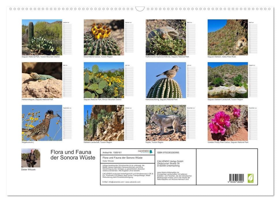 Flora and fauna of the Sonora Desert (CALVENDO wall calendar 2024) 