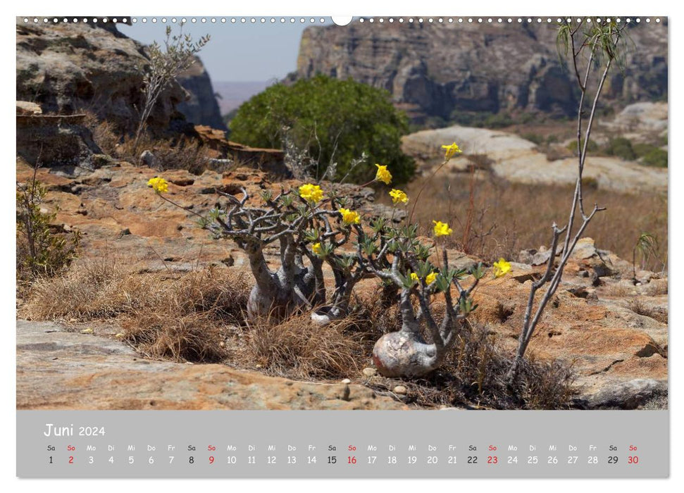 Landscapes of Madagascar (CALVENDO wall calendar 2024) 