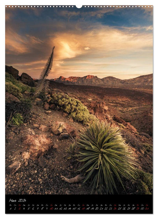 Tenerife A Round Trip (CALVENDO Premium Wall Calendar 2024) 